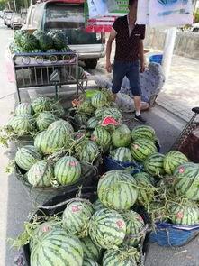 龙南网红吃瓜事件,揭秘网络舆论的风云变幻