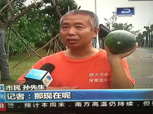 魏县吃瓜网热门事件,揭秘本地热门事件背后的真相与热议