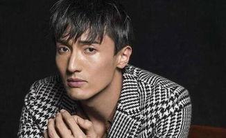 娱乐吃瓜君王嘉尔小说,娱乐圈的瓜田传奇