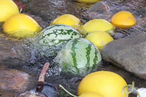 大城网红吃瓜,揭秘网络红人背后的故事